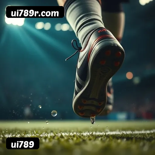 Níveis do programa VIP da ui789